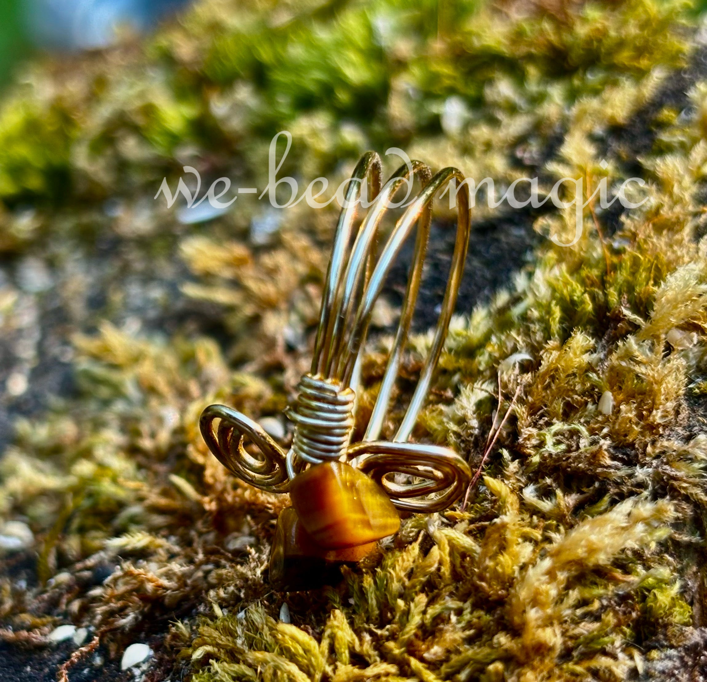 look me in the Tigers Eye