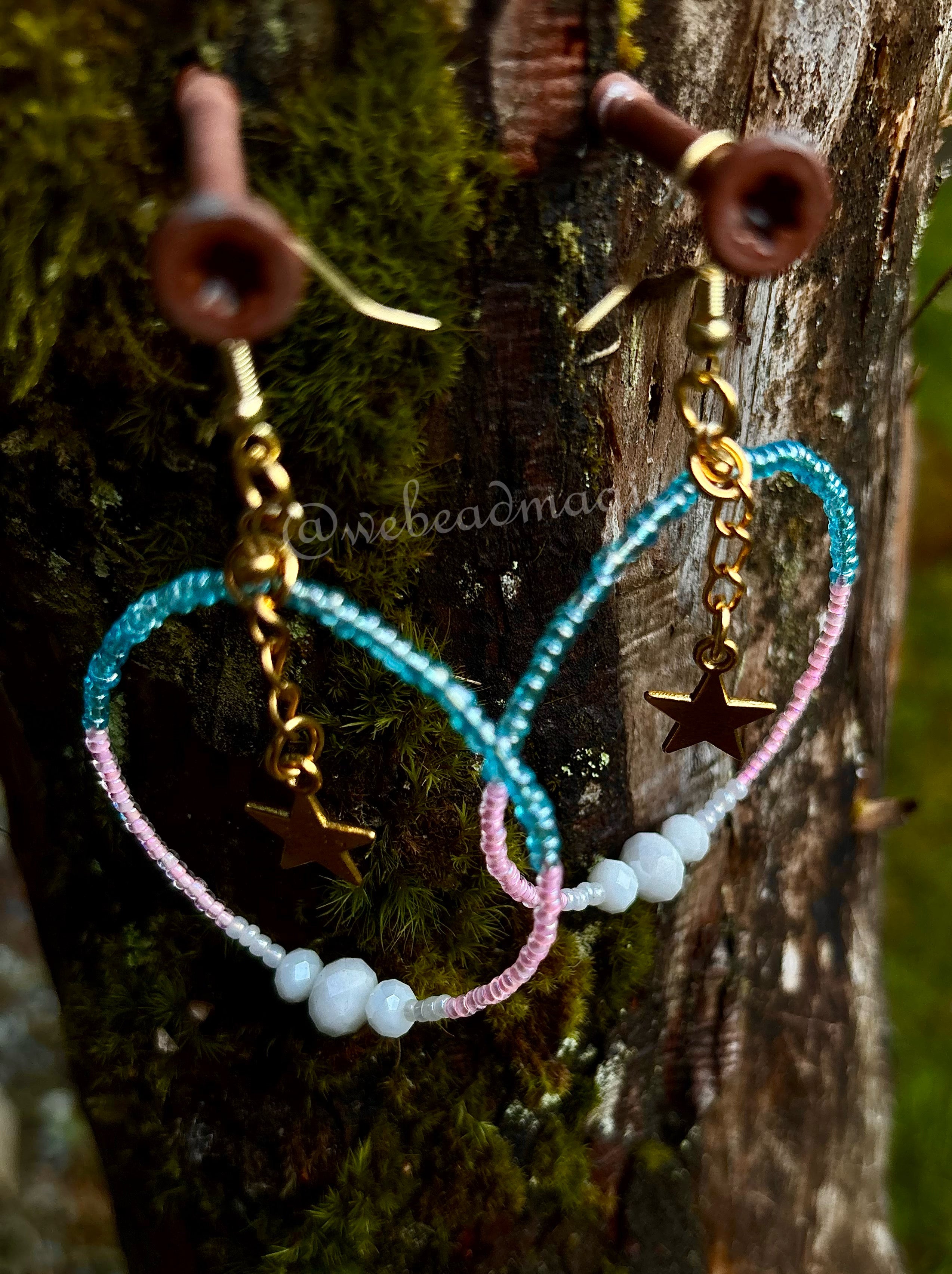 Trans pride earrings